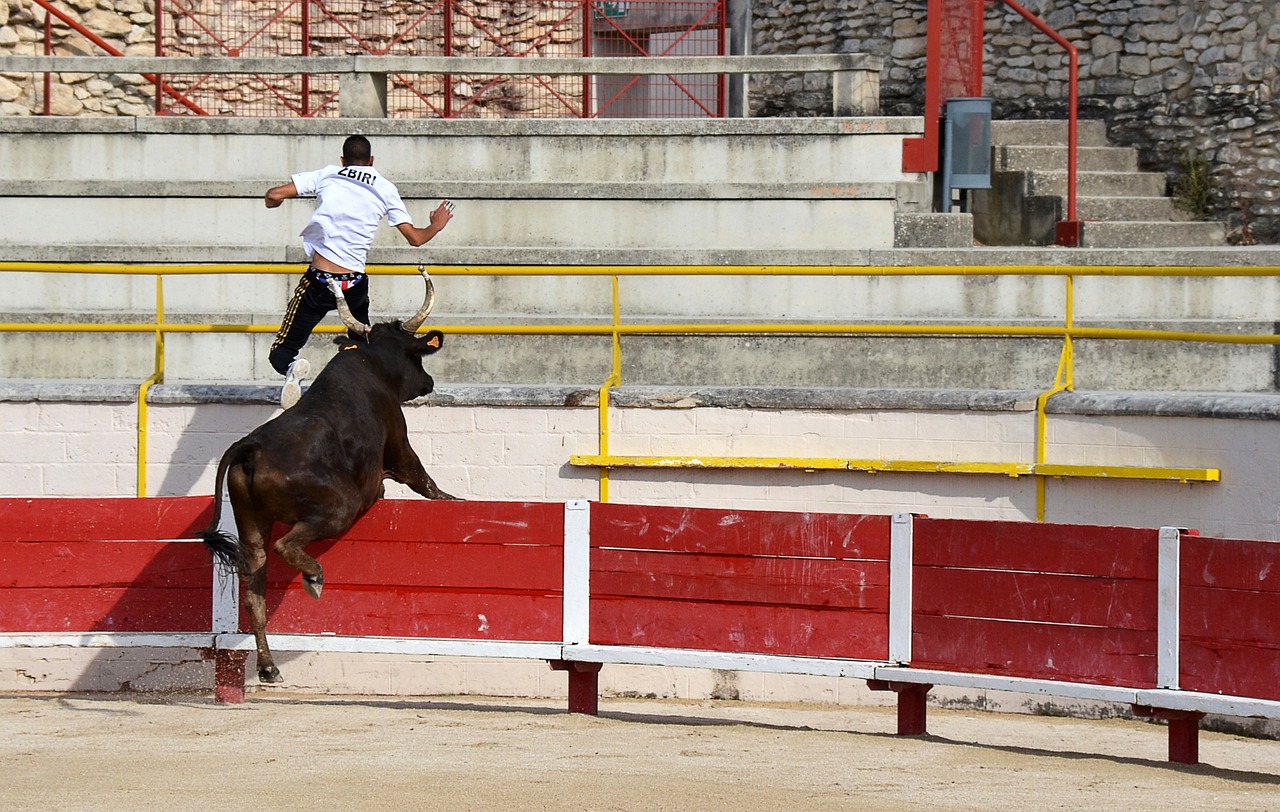 勇士队成功